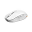 MOUSE GENIUS SCORPION M8250 (31060001400) - High Tech CR